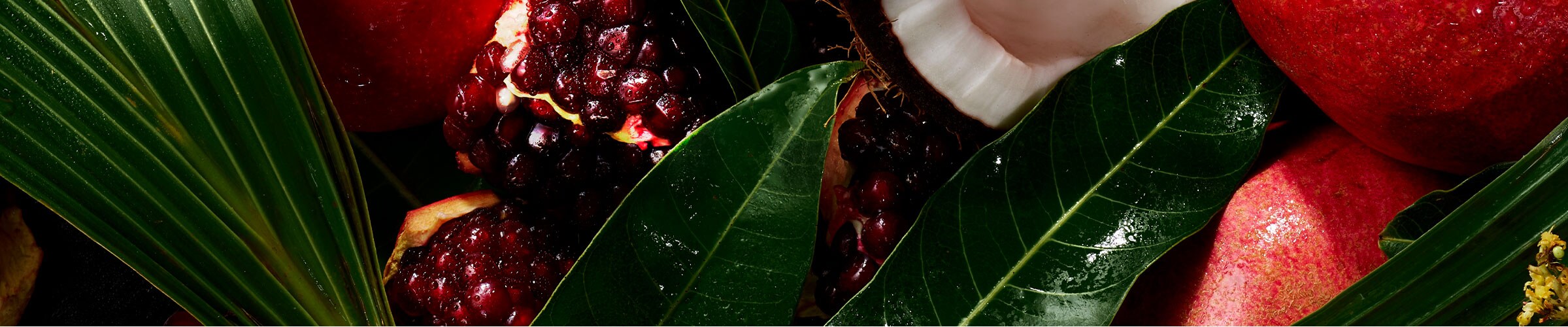 Aveda is 100% vegan. Now and forever.