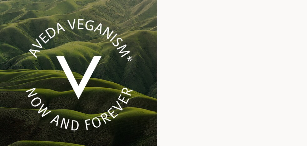 Veganuary imagery with sticker that reads: [100% Vegan V Now and Forever]