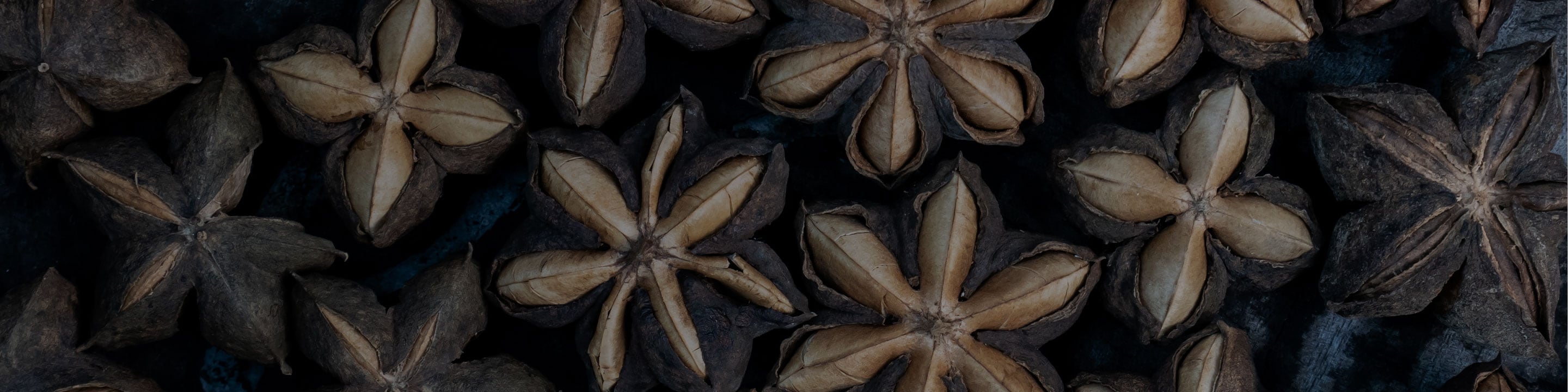 Learn more about sacha inchi oil