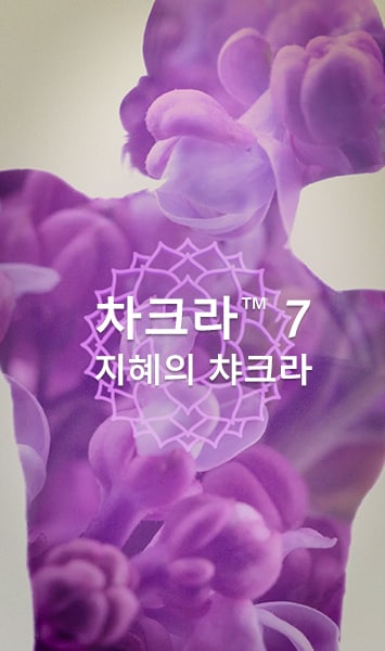 CHAKRA 7 BAL PF MIST 30ML/1FLOZ