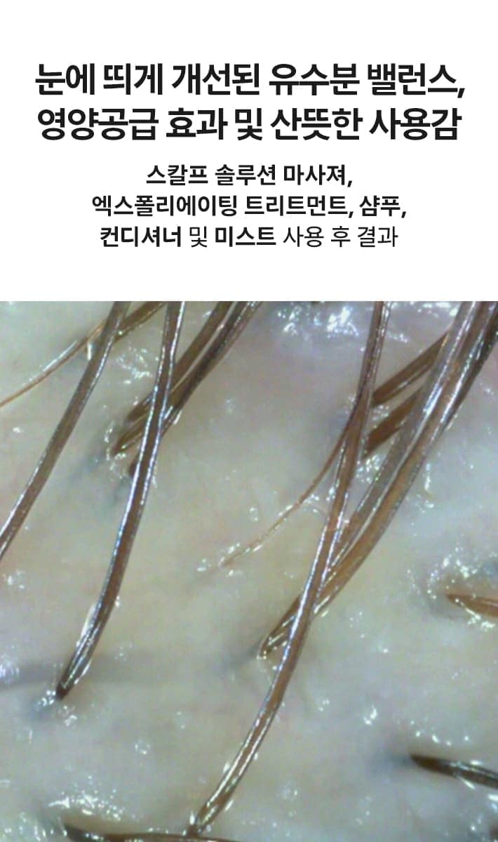 스칼프 솔루션 밸런싱 샴푸 & 컨디셔너 200ml 세트