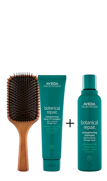 PADDLE BRUSH + BOTANICAL REPAIR LEAVE-IN TREATMENT SET